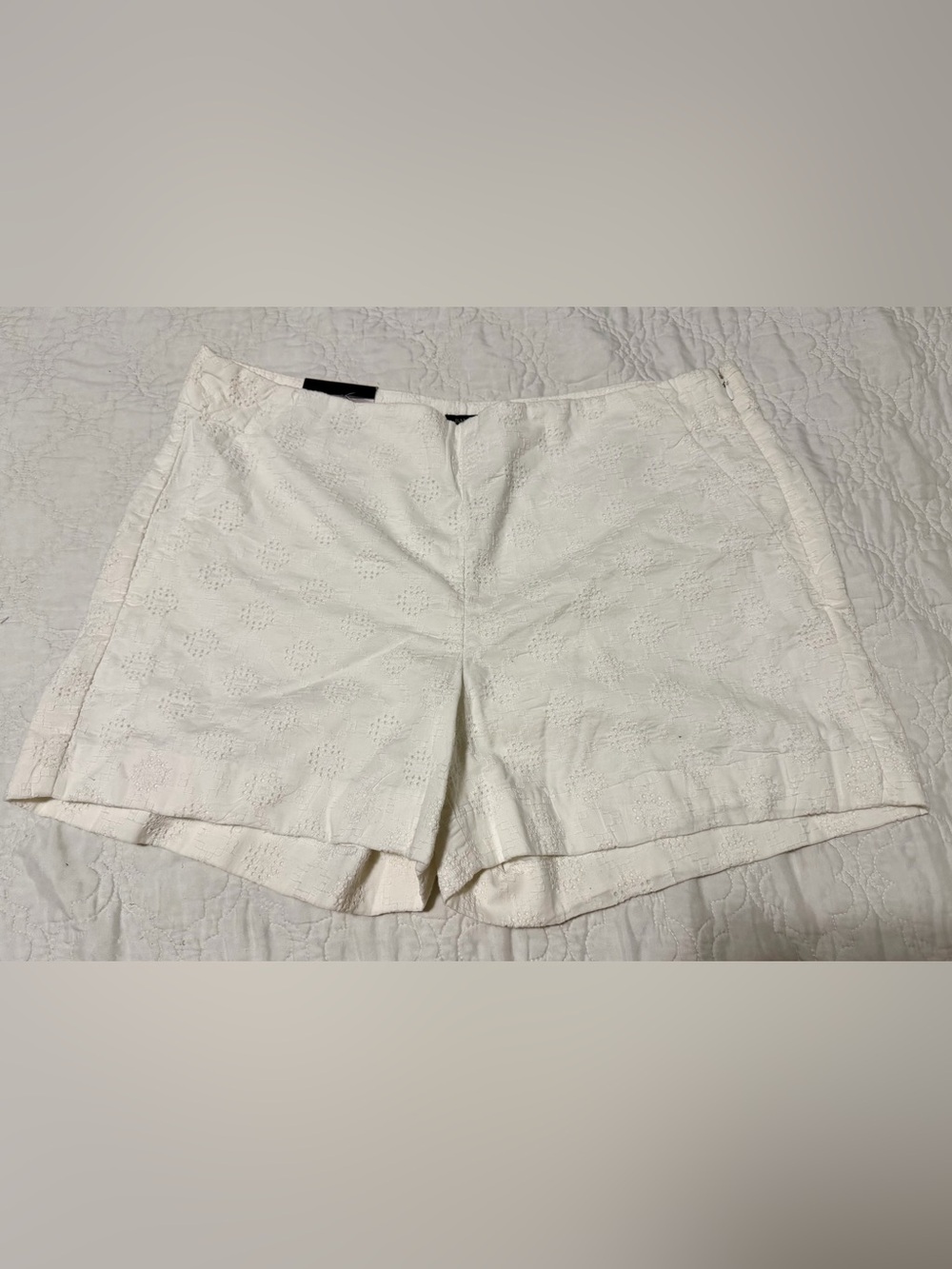 Banana Republic White Eyelet Flat-Front Shorts - Picture 2 of 8